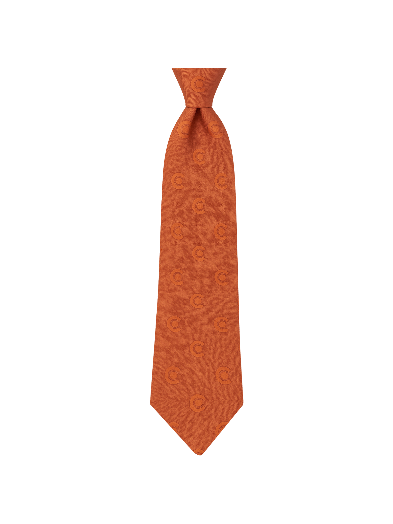 Professional Security Tie